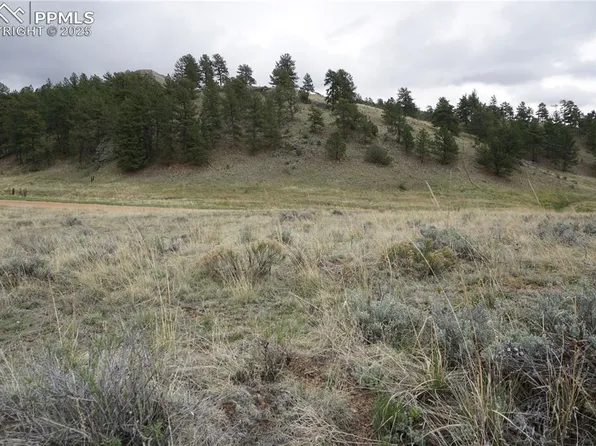 506 Forge Dr, Florissant, CO 80816