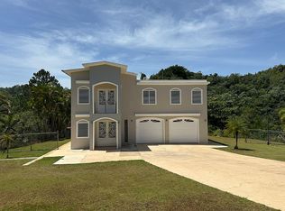 0 Bo Damian Arriba Sector, Orocovis, PR 00720
