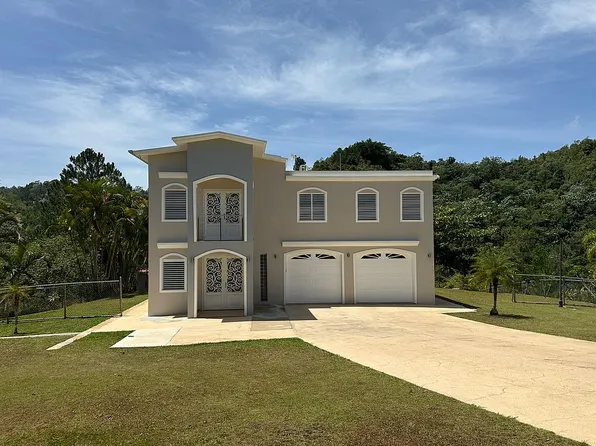 0 Bo Damian Arriba Sector, Orocovis, PR 00720