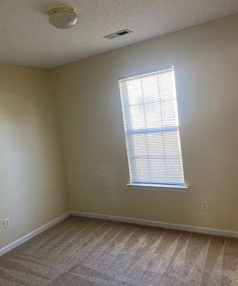 3602 White Swan Ct — Photo 5