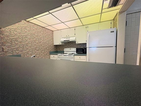 3rd image of 167 PALM VIEW COURT #3487