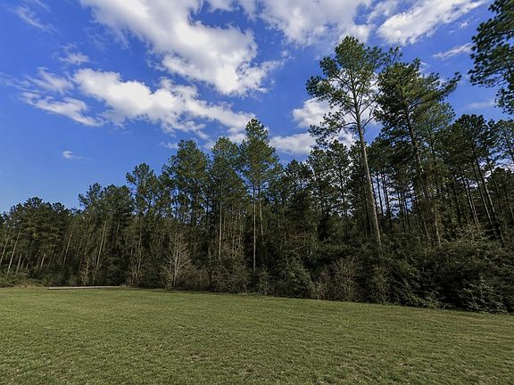 4th image of 10711 Ruger Rd Lot 27