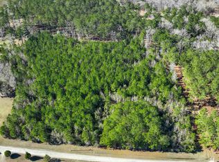 Rhodus Ave, Andrews, SC 29510