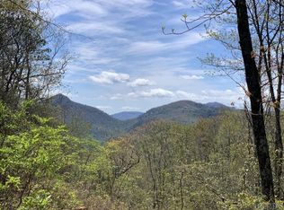 1 Tiger Paw Ln, Sapphire, NC 28774