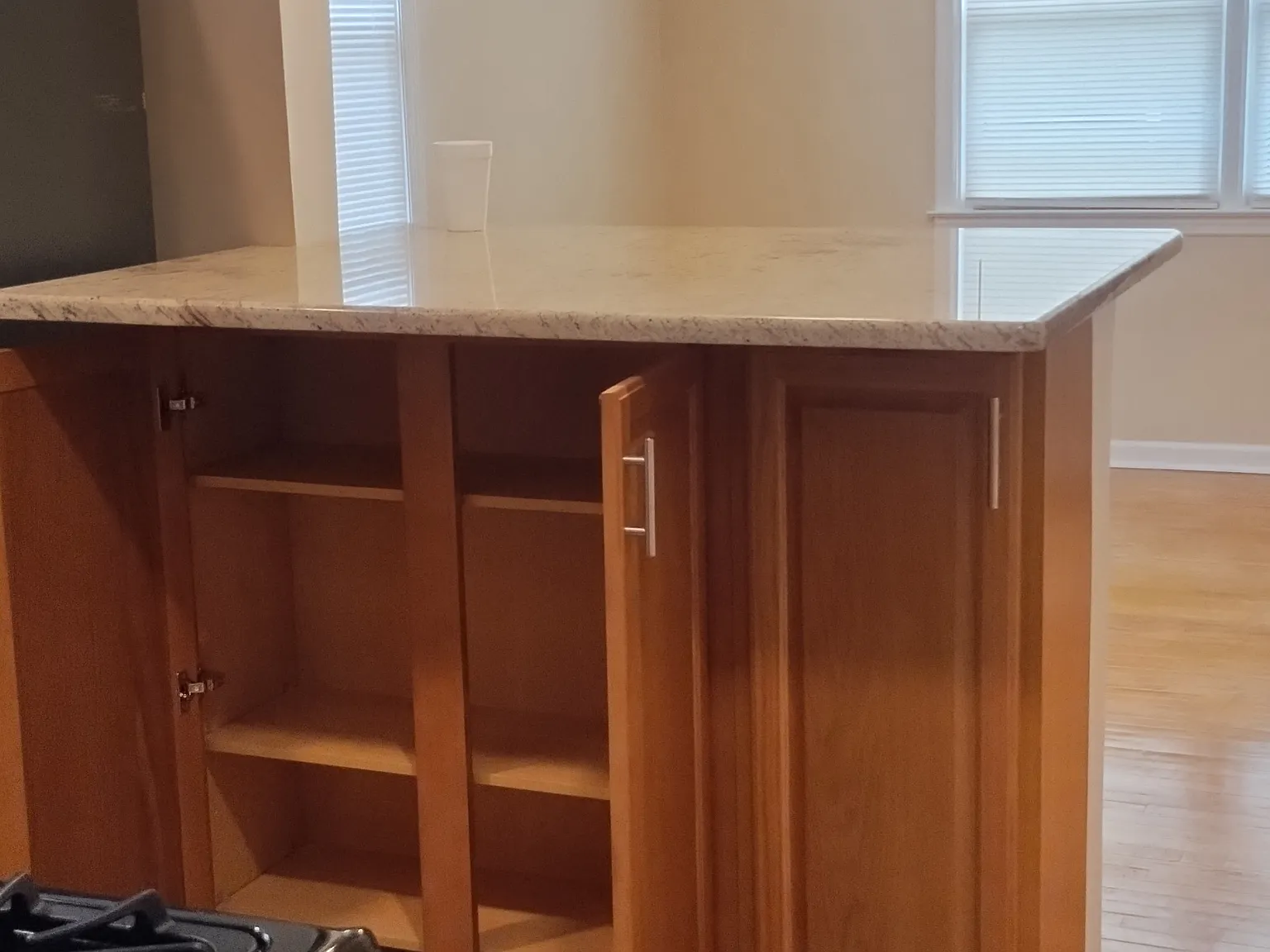 2 bed, 700 sqft, $1,350 — Photo 4