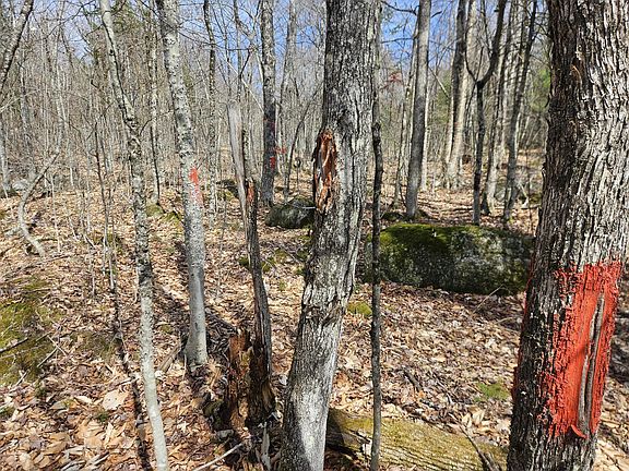 4th image of Map 4-47 Merrill Road