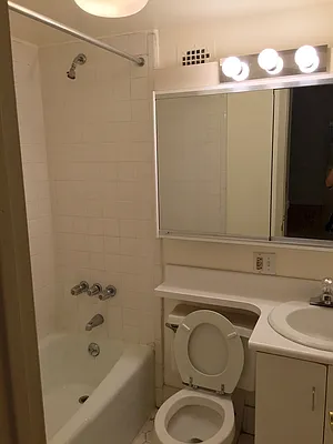 Rented by Dream NYC LLC | media 25