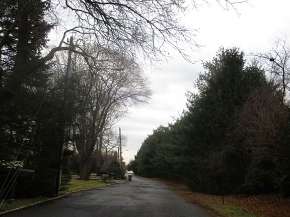 5th image of 104 Bedell Pl