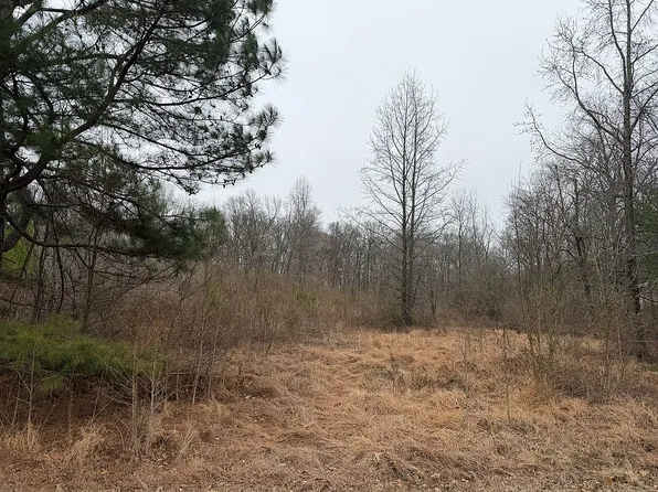 2660 Biggs Rd, Kevil, KY 42053