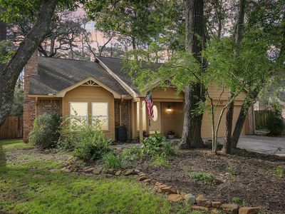 17 N Summer Star Court, Spring, TX, 77380