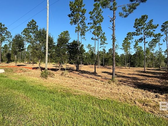 4th image of 3 Archie Rd