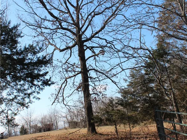 Fallen Tree Marshall, Marshall, AR 72650