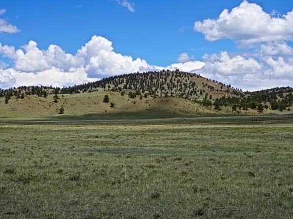 1170 Clear Creek Rd, Hartsel, CO 80449
