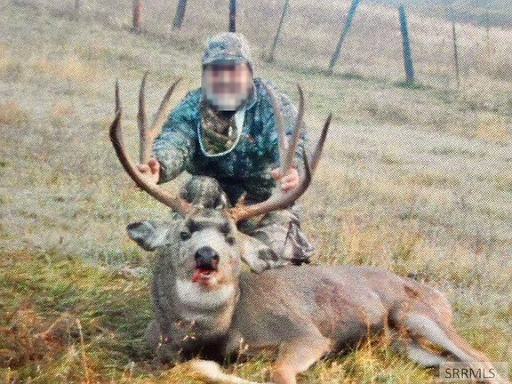 74th image of this home