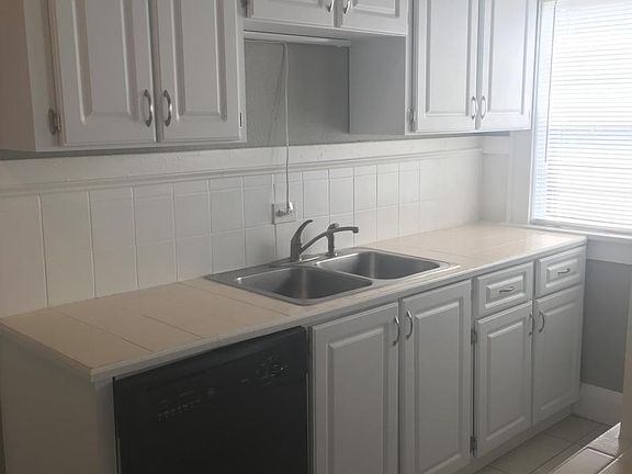 Kitchen sink and dishwasher