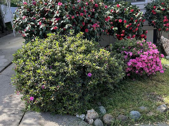 2nd image of 3550 China Garden Rd Space 38