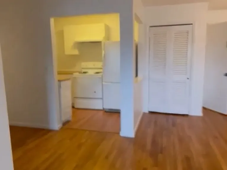 living room - kitchen