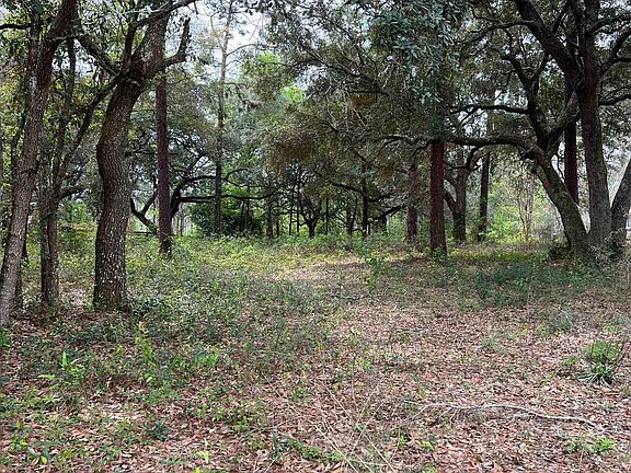 4th image of LOT 7 N Bayou Rd
