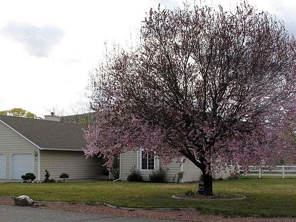 2nd image of 3705 Equestrian Dr