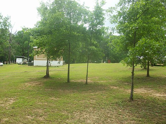 4th image of 130 Chinaberry Dr
