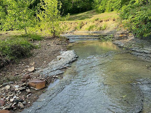 2nd image of 275 Horns River Rd
