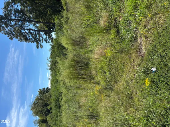 5878 State Highway 561 Lot Not, Louisburg, NC 27549