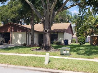 2032 Montego Ct, Oldsmar, FL 34677