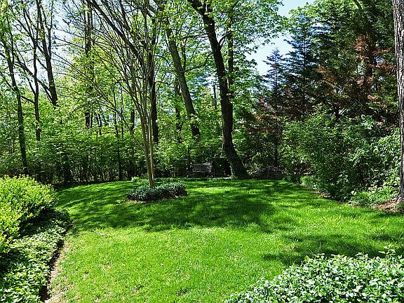 Relatively level back yard.