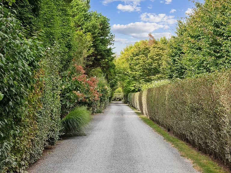 Further Ln — Photo 37