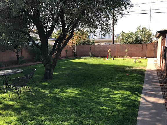 Large grass backyard