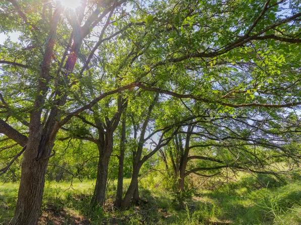 County Road 180 Covered Meadows Rnch, Purmela, TX 76566