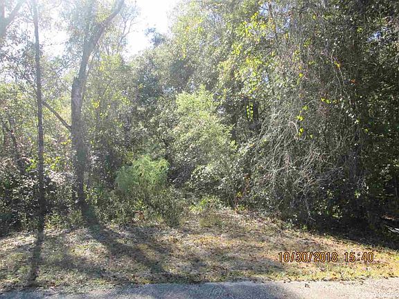 4th image of 119 Lake Carleton Dr