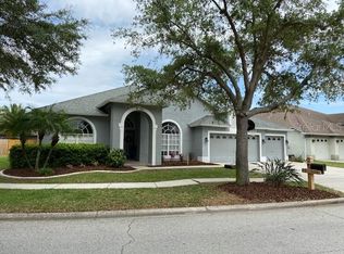 19348 Wind Dancer St, Lutz, FL 33558