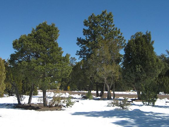4th image of 1454 Low Mountain Trl