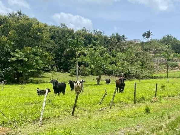 State Highway 155 Ramal #646, Vega Baja, PR 00693