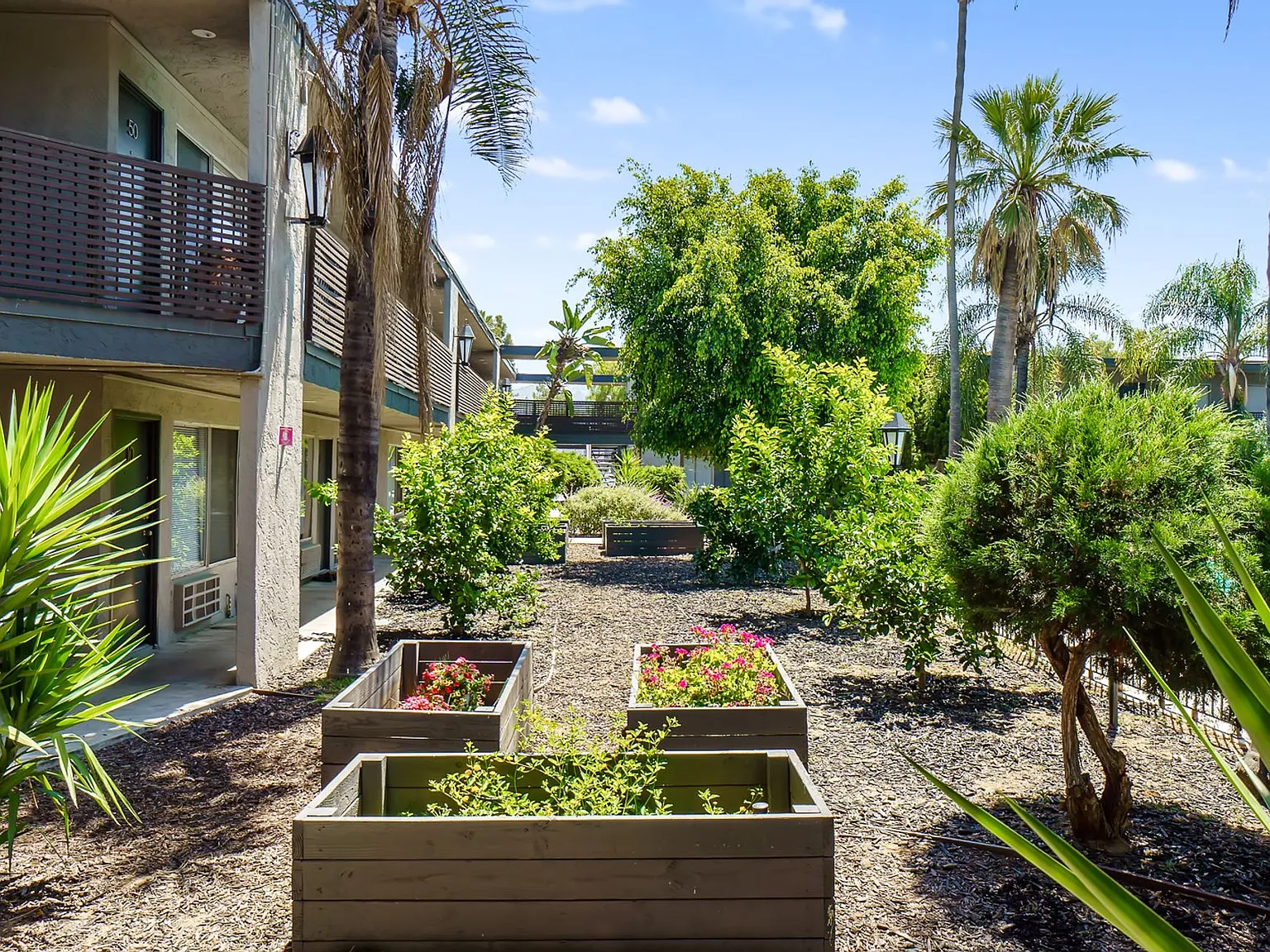 Vista Pines — Photo 4
