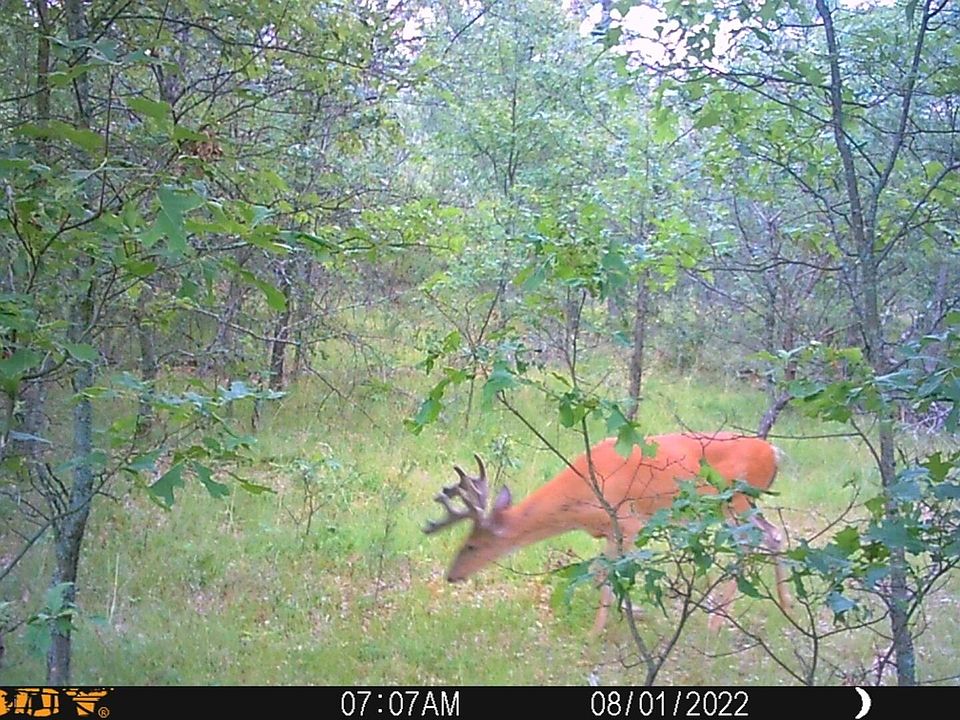 1st image of V/l Bryan St