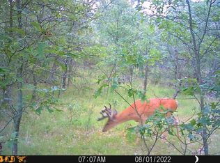 V/l Bryan St, Baldwin, MI 49304