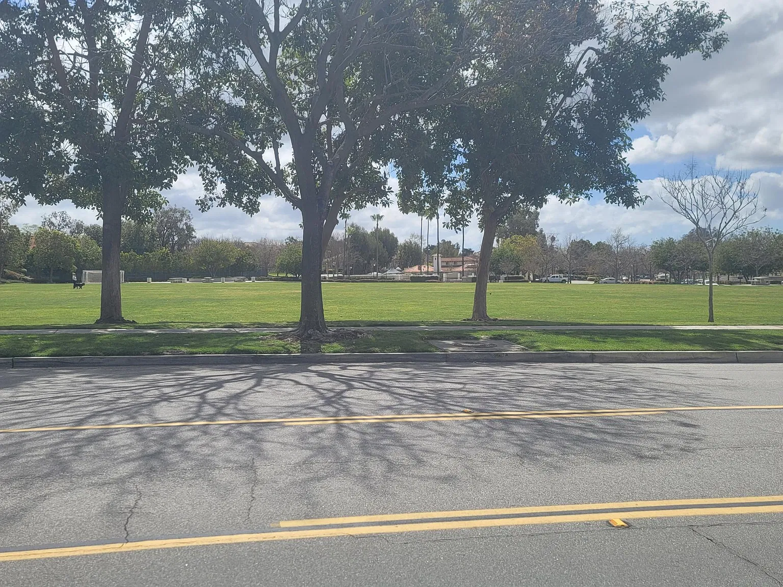 2 bed, 939 sqft, $2,650 — Photo 2