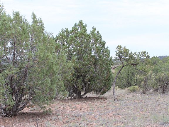 2nd image of 58675 N La Plancha Pkwy