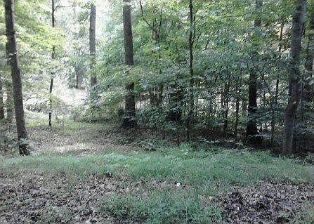 1st image of Buttonwood Ln