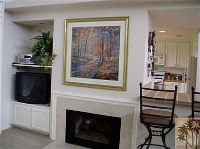 FirePlace in Living Room