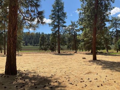 Mergansser Rd Lot 123, Klamath Falls, OR, 97601