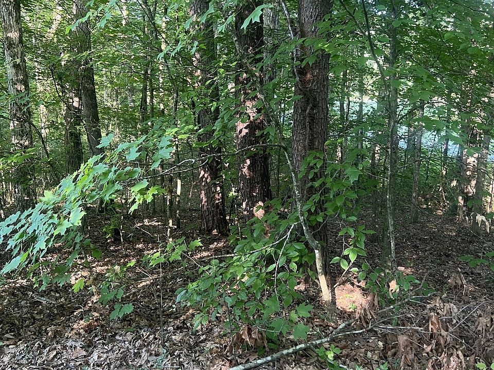 1st image of 12308 Yarnell Rd Lot 1