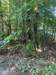12308 Yarnell Rd Lot 1, Knoxville, TN, 37932