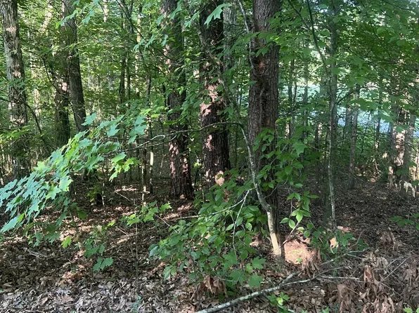 12308 Yarnell Rd Lot 1, Knoxville, TN 37932