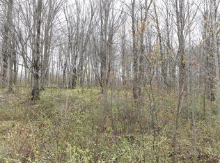 On Porcupine Lake Road E 5 LOT E, Long Lake, WI 54542