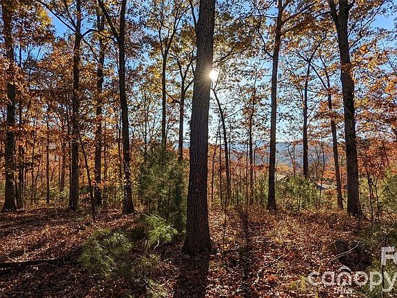 2nd image of 512 Wild River Run #65