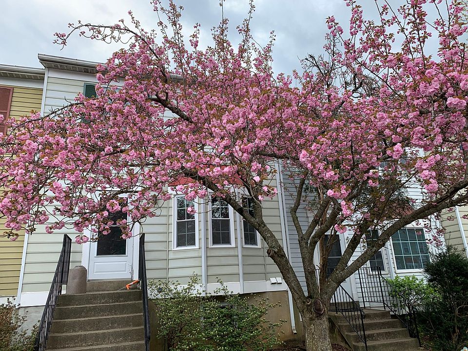 1st image of 9853 Oakdale Woods Ct