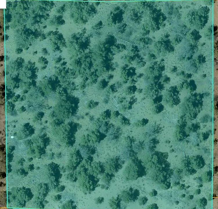 1st image of 150 Deer Park